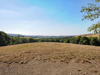 An open field with dry grass and trees surrounding the area under a blue sky at Lillemor in South Tawton near Whiddon Down