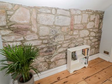 A small white bookshelf with books next to a potted green plant and stone wall at O'Neil Cottage in Beadnell