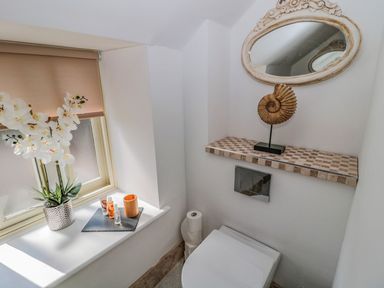 A bathroom with a toilet next to a window with a potted orchid and toiletries at O'Neil Cottage in Beadnell
