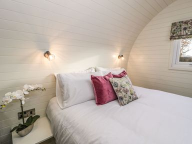 A bedroom with a bed with white bedding and red and floral cushions beside a window and a white orchid on a nightstand at Yr Onnen in Bontuchel near Ruthin