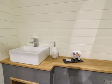 A bathroom sink with a soap dispenser and toiletries on a wooden countertop at Yr Onnen in Bontuchel near Ruthin