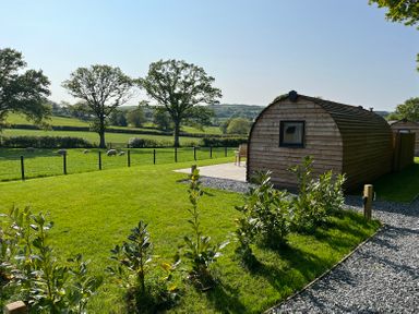 A wooden pod on a lawn with plants and trees in the background at Yr Onnen in Bontuchel near Ruthin