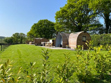 A grassy outdoor area with wooden pod cabins and seating surrounded by trees at Yr Onnen in Bontuchel near Ruthin