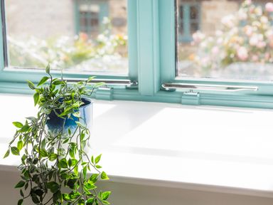 A blue pot with a trailing green plant on a white windowsill with blue window frames
