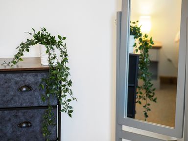 A white pot with green trailing plant on a wooden dresser next to a gray framed mirror reflecting the plant and a lamp in a room at Trelawney Mawnan Smith Near Falmouth