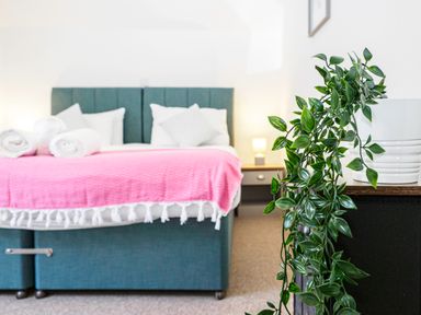 A bedroom with a double bed covered with a pink blanket and white cushions next to a bedside table with a lamp and a plant in a white pot on a cabinet at Trelawney in Mawnan Smith Near Falmouth