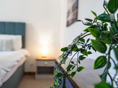 A bedroom with a bed a bedside table with a lamp and a plant on a piece of furniture at Trelawney in Mawnan Smith Near Falmouth