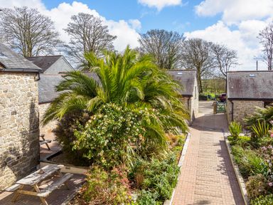 A garden courtyard with palm trees and stone buildings at Trelawney in Mawnan Smith Near Falmouth