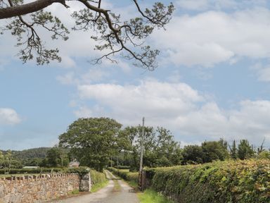A rural lane lined with stone wall and hedges with trees under a blue sky at Frongoch Cottage Red Wharf Bay near Pentraeth