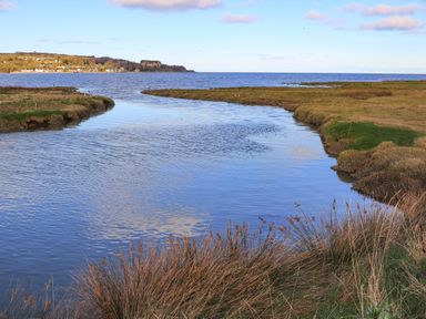 A river flowing into the sea with grass and shrubs on the banks at Frongoch Cottage in Red Wharf Bay near Pentraeth