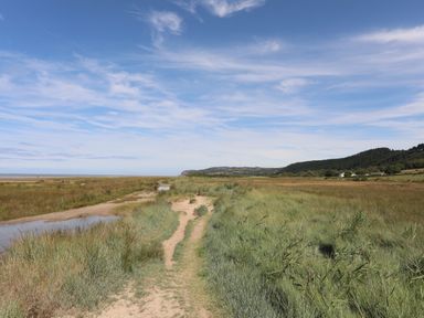 A dirt path through grassland with a distant view of hills and a coastline at Frongoch Cottage in Red Wharf Bay near Pentraeth