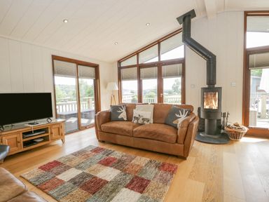 A living room with a leather sofa and a wood burning stove at Rivendell Lodge in Roger Ground near Hawkshead