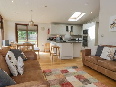 A living room with brown sofas a multicolored rug and a kitchen with a dining area at Rivendell Lodge Roger Ground near Hawkshead