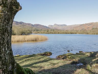 A lake with grassy shore and reeds with hills and trees in the background at Rivendell Lodge in Roger Ground near Hawkshead