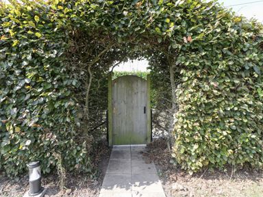 A garden pathway leading to a wooden gate surrounded by dense green foliage