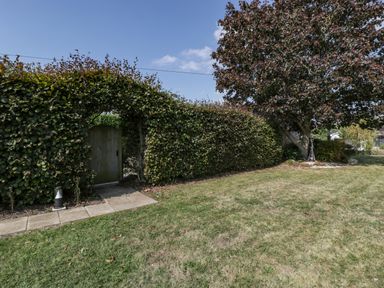 A garden with a hedge archway and wooden gate next to a tree and grassy lawn at The Forge in Taunton