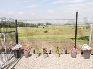 Potted plants next to a wire mesh fence with a grassy field and trees in the background at Peters Farmhouse in Cookstown