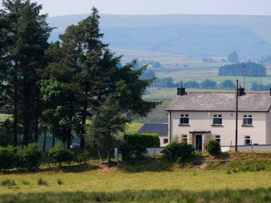 A farmhouse near trees and grassy fields with hills in the background at Peters Farmhouse in Cookstown