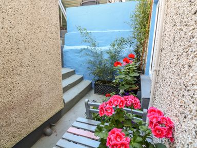 An outdoor narrow space with stairs blue wall flowers in pots and textured exterior walls at Drakes Retreat in Plymouth