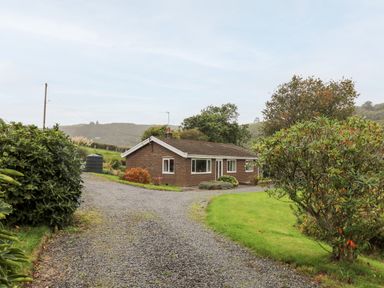 A single-story brick house with white framed windows and gravel driveway surrounded by shrubs and grass at Llwynon in Goginan near Aberystwyth