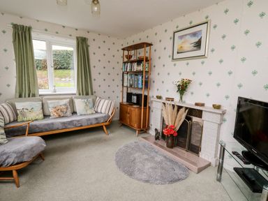 A living room with green curtains a wooden sofa with animal cushions a wooden bookcase a fireplace and a TV on a glass stand at Llwynon in Goginan near Aberystwyth