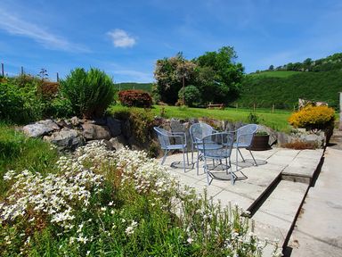 An outdoor patio with four metal chairs surrounded by flowers and greenery at Llwynon in Goginan near Aberystwyth