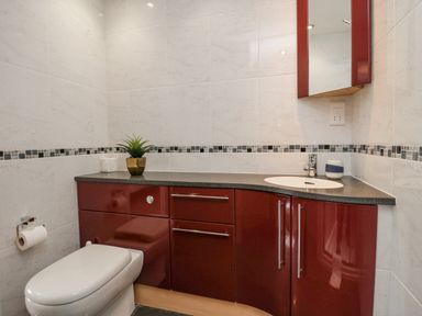 A bathroom with a toilet and a red cabinet with a sink and a small plant at Holme Fell in Coniston