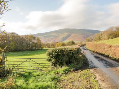 A country road bordered by hedges next to a grassy field with a metal gate and hills in the background at Holme Fell in Coniston