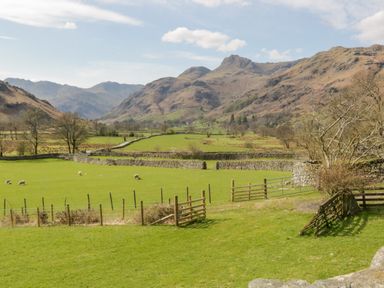 A field with sheep grazing fenced by stone walls and wooden gates with mountains in the background at Holme Fell in Coniston