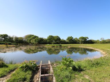 A small pond surrounded by grass and trees under a clear blue sky at The Parlour in Llangoedmor near Cardigan