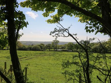A green field with trees and hills in the distance at Cattle Tree Cottage Llangoedmor near Cardigan