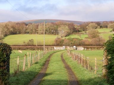 A grassy country lane with fencing on both sides and fields with sheep and trees at 17 Buninver Road in Gortin