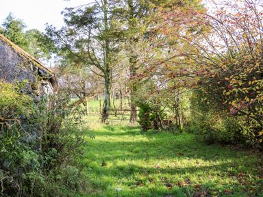 A grassy garden area with trees and bushes next to a stone building at 17 Buninver Road in Gortin