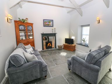 A living room with two gray sofas a wood-burning stove a cabinet with plates and a television on a wooden box at Catamouse in Milford Haven