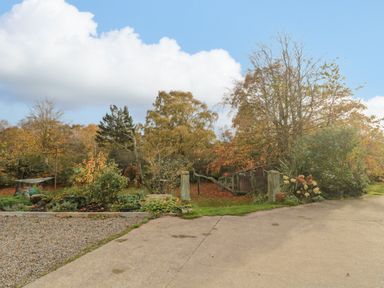 A garden area with trees and bushes next to a gravel and concrete driveway at High Barns Cottage in Longhorsley near Morpeth