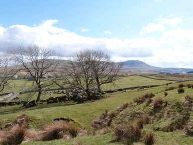 A rural landscape with leafless trees stone walls and grassy fields at Robin Lodge in Gargrave