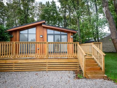 A wooden cabin with a deck and stairs surrounded by trees and gravel at Bluebell Lodge in Gargrave