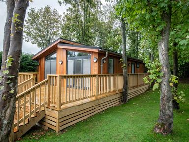 A wooden cabin with a wraparound deck surrounded by trees and grass at Bluebell Lodge in Gargrave