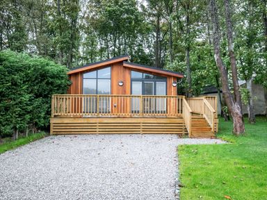 A wooden cabin with large windows and a front deck surrounded by trees and greenery at Bluebell Lodge in Gargrave
