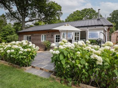 A wooden house with a tiled patio and white flowers in the garden at The Roost in Cheriton near Alresford