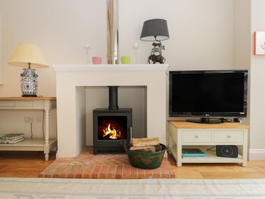 A living room with a wood burning stove a television and lamps at The Roost in Cheriton near Alresford
