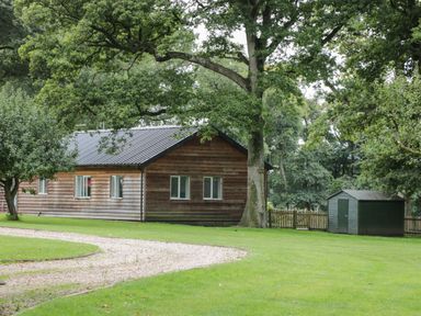 A wooden house with multiple windows a gravel path a large tree and a small shed in a grassy yard at The Roost in Cheriton near Alresford