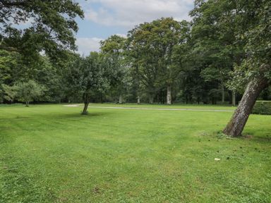 A grassy lawn with scattered trees and a curved dirt path in a wooded area at The Roost in Cheriton near Alresford