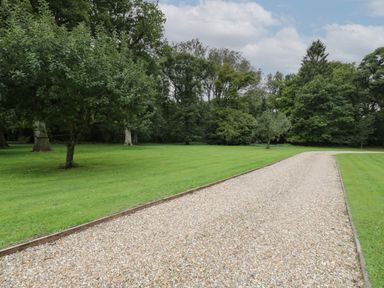 A gravel pathway running through a grassy area with trees on either side at The Roost in Cheriton near Alresford