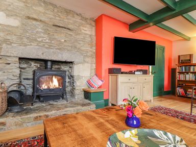 A living room with a lit fireplace wooden table with flowers on it a wall-mounted television and a bookshelf at Trewenna Roseland Tregony