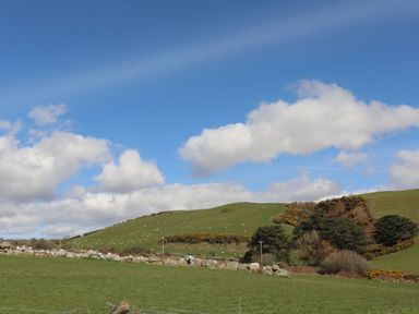 A grassy hillside with scattered sheep and a stone wall under a partly cloudy sky at Awelfryn in Criccieth