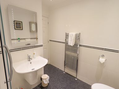 A bathroom with a sink mirror towel rail waste bin and a toilet roll holder at Beechside in Ambleside