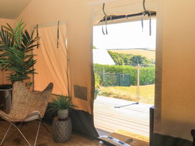 An interior of a tent with a chair and plants looking out to a deck and garden at Semira Tent Lodge in Blackawton
