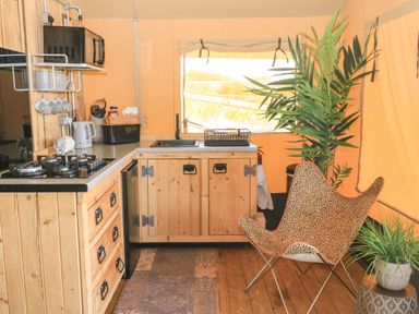 A small kitchen area with wooden cabinets a chair with leopard print and two plants at Semira Tent Lodge in Blackawton