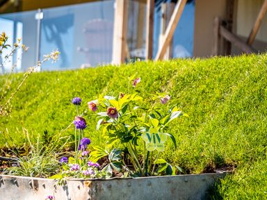 A metal planter with purple and pink flowers on a grassy lawn at Semira Tent Lodge in Blackawton